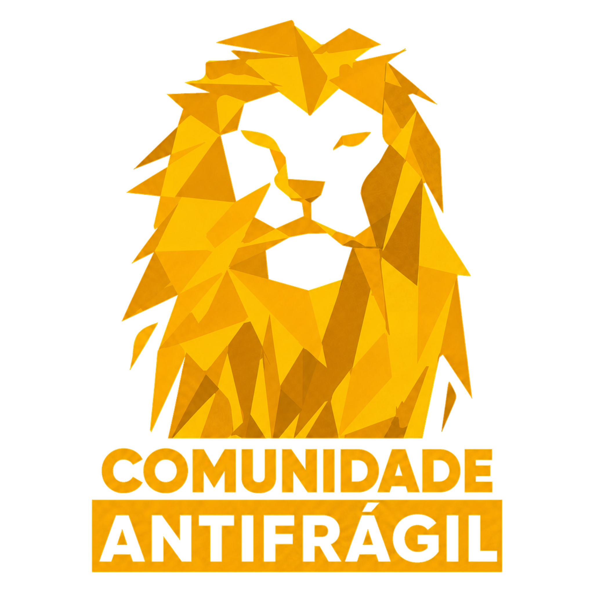 Comunidade Antifrágil
